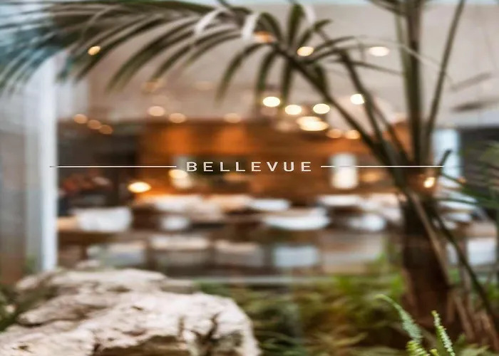 Hotel Bellevue 5*